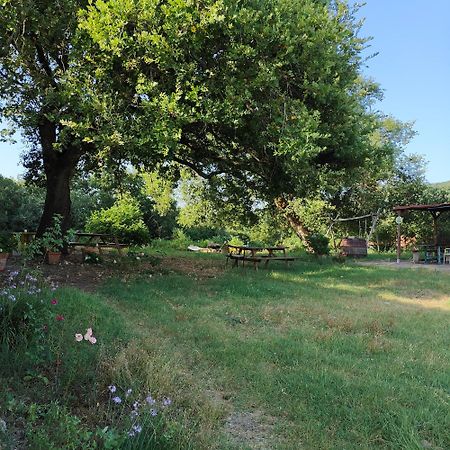 Agriturismo Il Casalino Pari Екстер'єр фото