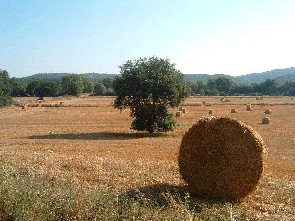 Agriturismo Il Casalino Pari Екстер'єр фото