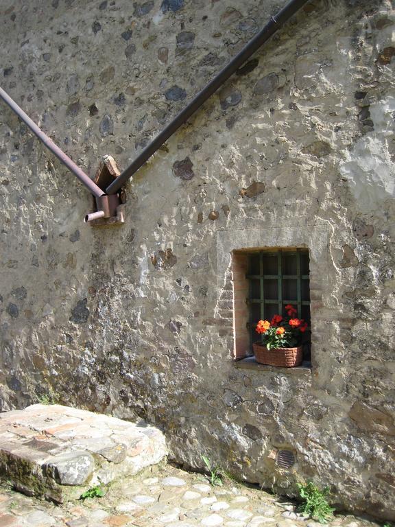 Agriturismo Il Casalino Pari Екстер'єр фото