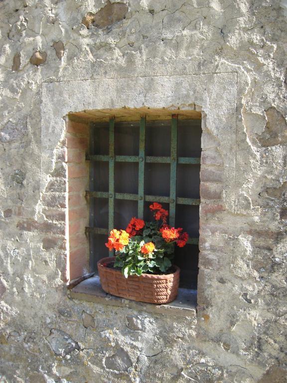 Agriturismo Il Casalino Pari Екстер'єр фото
