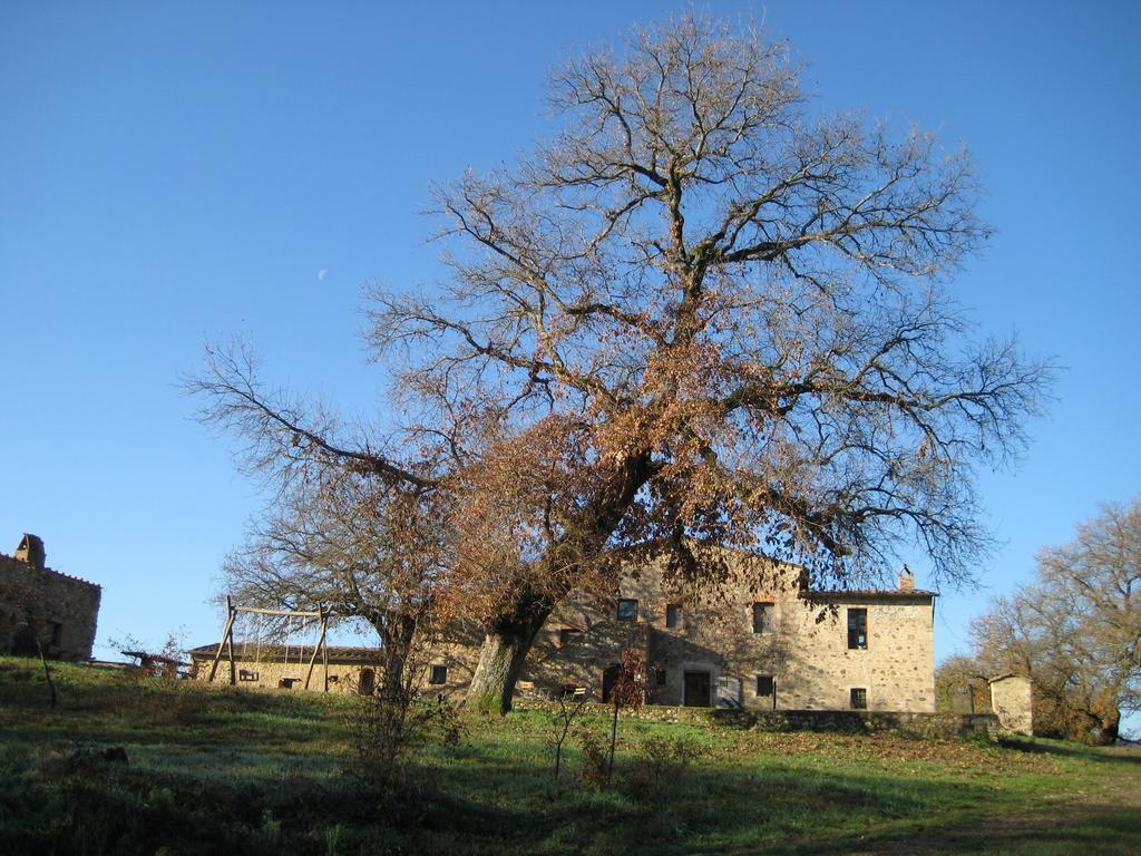 Agriturismo Il Casalino Pari Екстер'єр фото