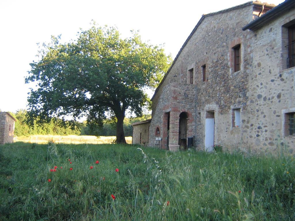 Agriturismo Il Casalino Pari Екстер'єр фото