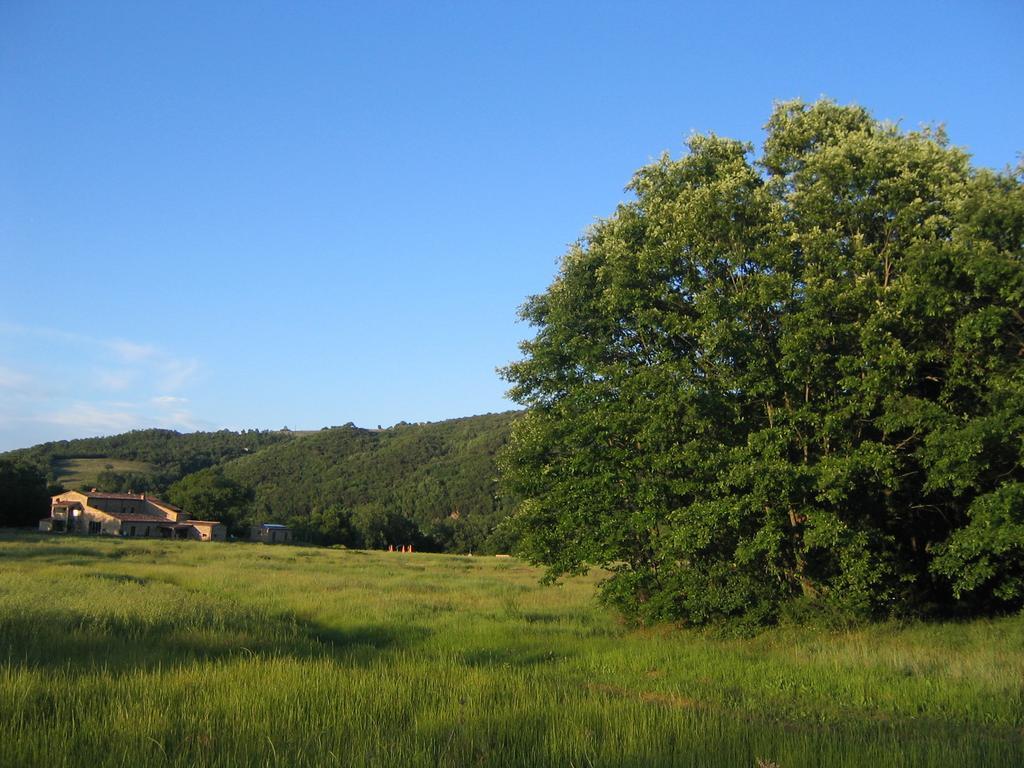 Agriturismo Il Casalino Pari Екстер'єр фото